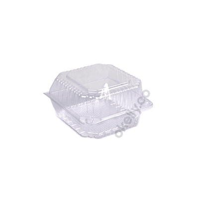 Clear Continers- Snack Pack & Salad