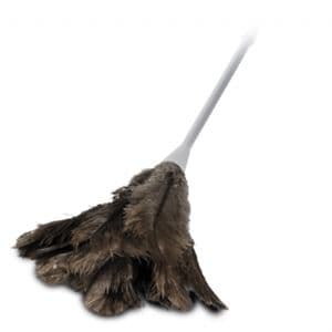 Feather Duster